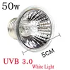220V 25/50/75W UVA+UVB Reptile Lamp Bulb Turtle Basking UV Light Bulbs Heating Lamp Amphibians Lizards Temperature Controller 3