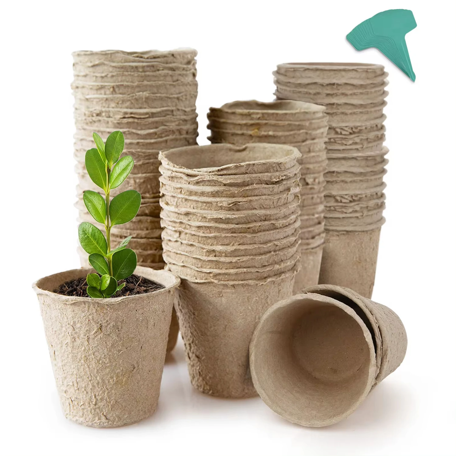 Biodegradable Peat Pots Plant Starters with Plant Labels-Herb Seed Starter Kits (15 Pcs)