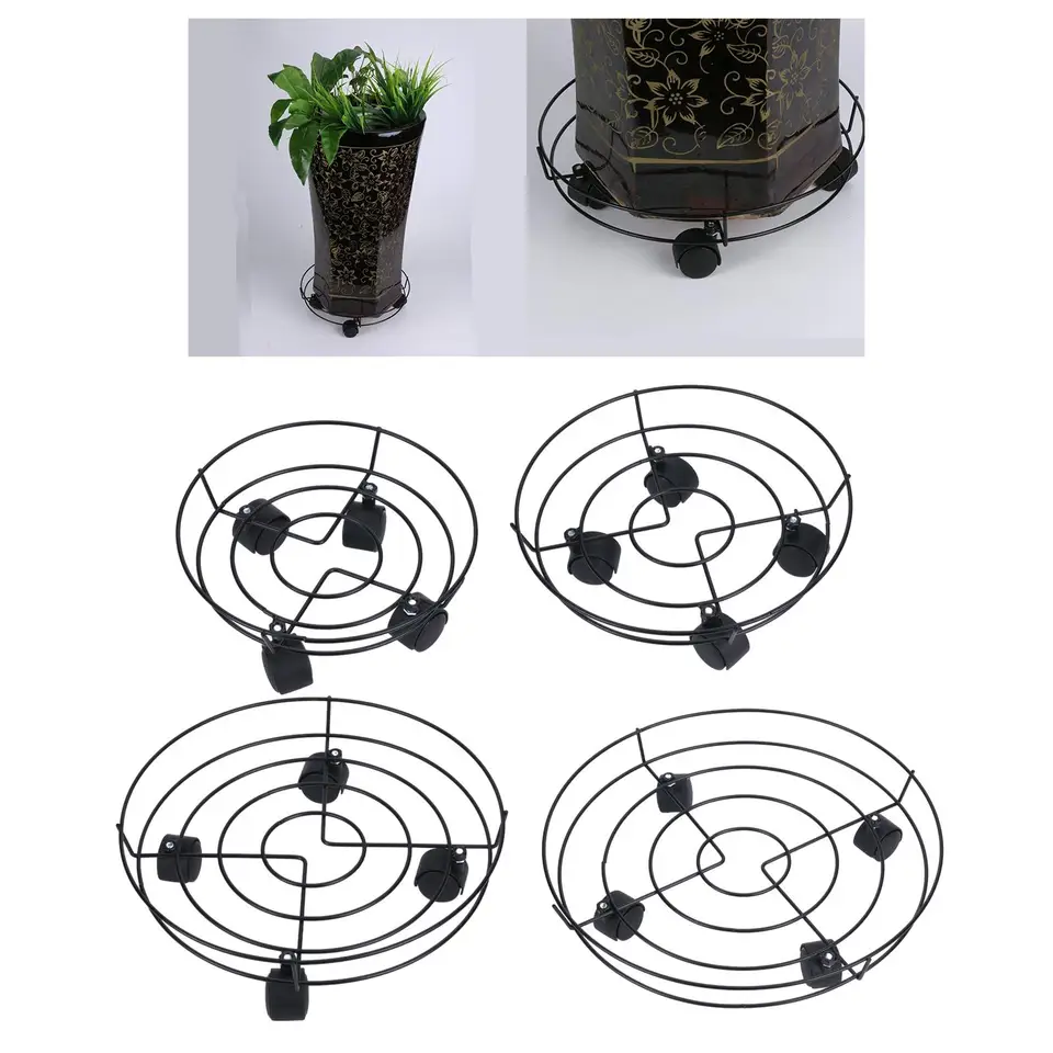 10 piante tappezzanti resistenti alla siccità per un paesaggio a bassa – The Balcony Garden EU