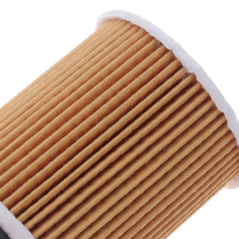 Oil Filter 11427512446 HU816/2X For BMW Mini Cooper S R50 R52 R53 OE# OX175D L341 11427509208 11420026787