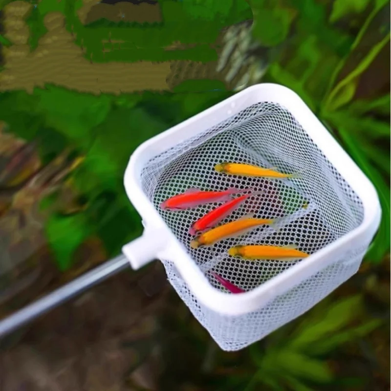 Rede de Pesca Quadrada para Aquário com Cabo Longo Extensível e Ventosa para Captura de Peixes e Camarões, Acessórios para Limpeza de Tanques