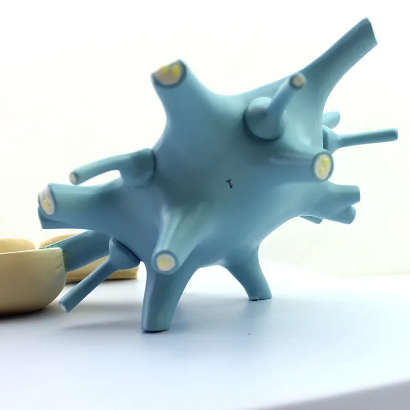 Amplified version of the medical neuron model, amplified model of nerve fiber structure, medical brain neurolysis