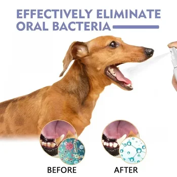 Dog teeth before and after using pet teeth cleaning spray