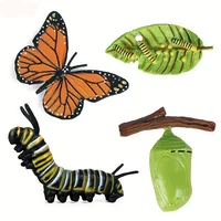 4pcs Butterfly Life Cycle Kit Lifestyle Stages of Monarch Butterfly Teaching Tools for Kids Students 1