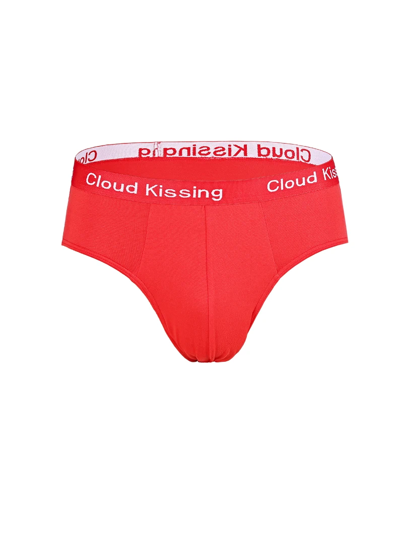10Pcs/Lot  Fashion Men's Panties Underwear Men  Size Briefsr Bikini Pant Men Comfortable Sexy Slip Underpants Hot XS-XL