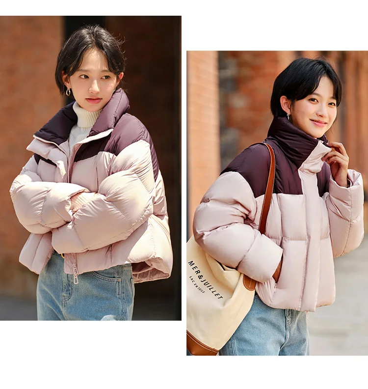Down Jacket Women Waterproof Loose Simple New Winter Stand-Up Collar Outerwear Down Jacket
