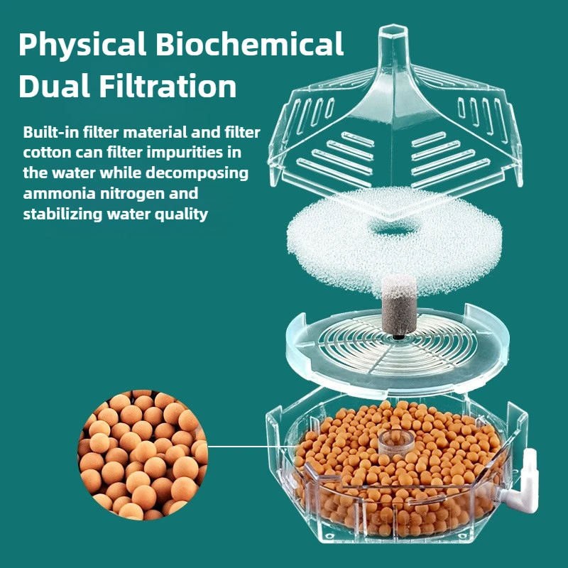 Transparent sponge filter assembled