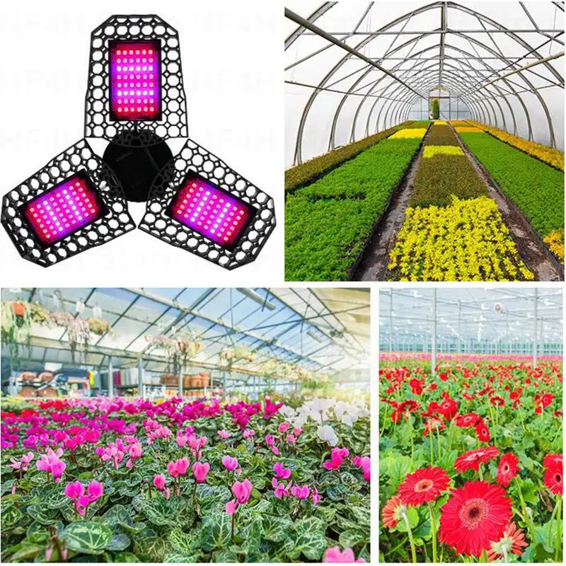 Description Picture 2 of itemLED Phyto Lamp E27 100W 200W 300W Full Spectrum LED Grow Light Plant Bulb AC 100-265V for Indoor Flower Grow Tent Box B4