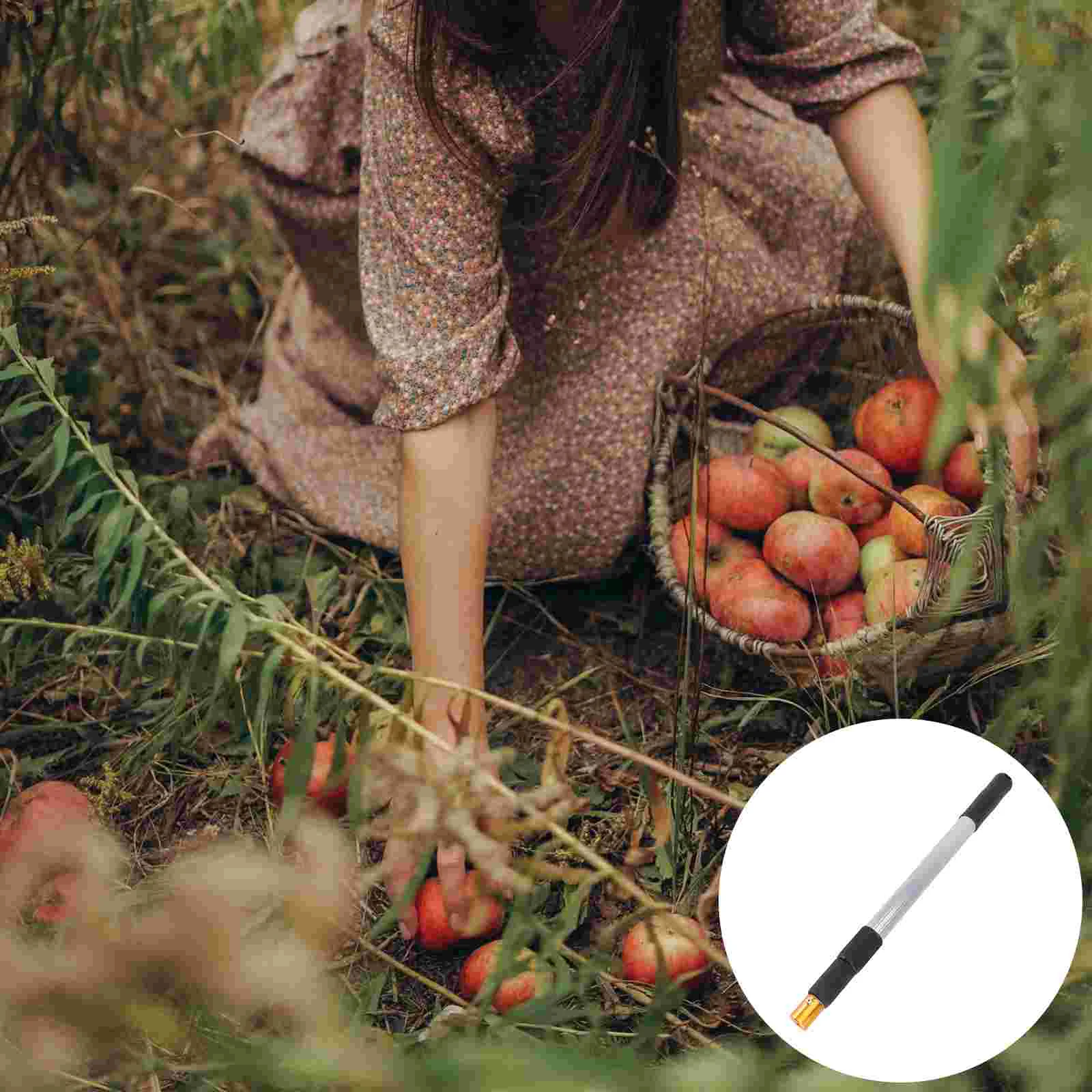 

Nut Collector Gatherer Nut Harvester Picker Telescopic Fruit Harvester Lemon Orange Picker Fruits Catcher Picker for Getting