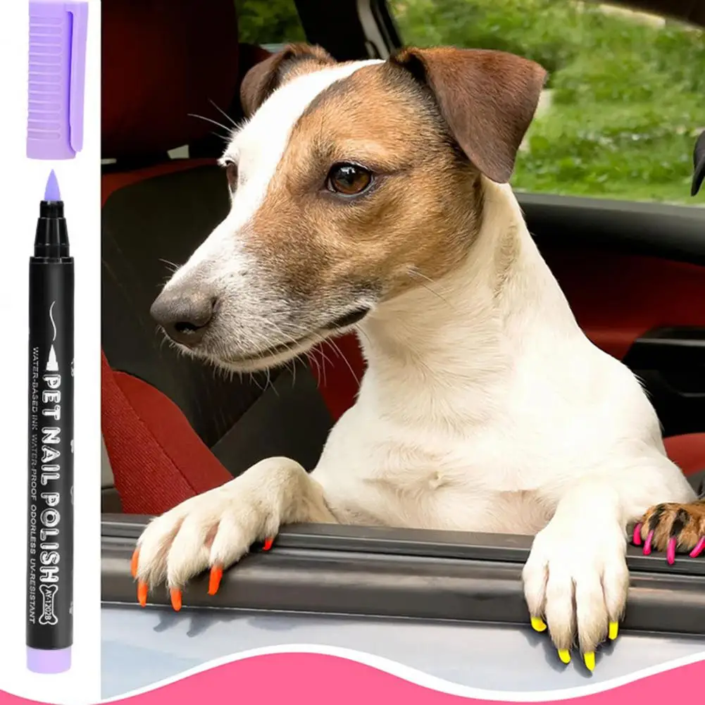 Pet Paw Nail Art Kit 12-color Quick Dry Pet Nail Art Pen Set for Puppy Cat Soft Brush Tip Dog Polish Pens for Small