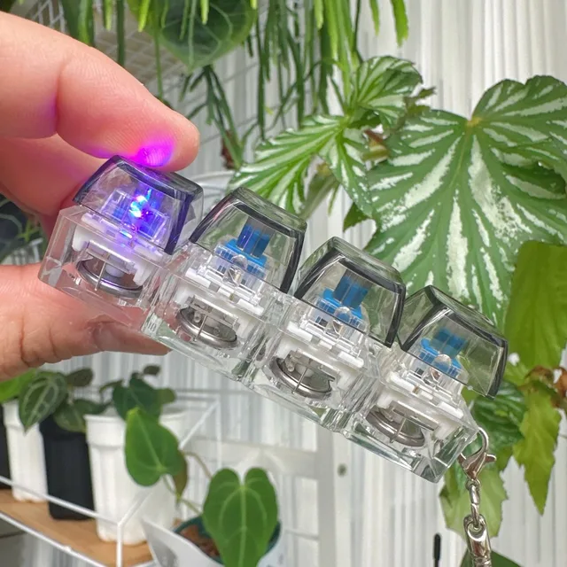 Fidget Clicker Toy