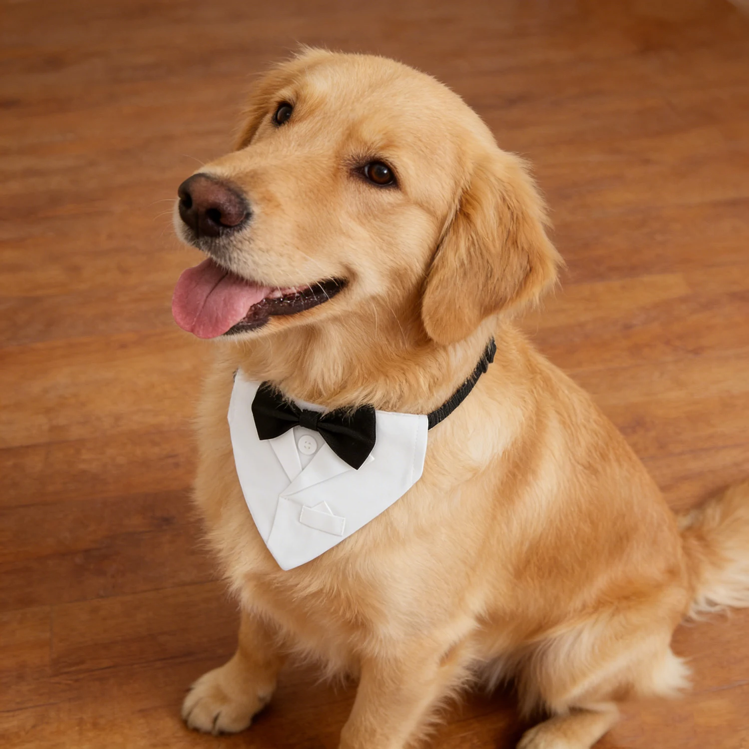 Sucado Hunde-Smoking-Anzug mit Hochzeits-Halstuch und Fliege, Verstellbarer Formeller Hunde-Smoking, Verlobungs- und Geburtstagsparty-Kostüm für Hunde – Detail 10