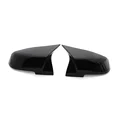 Black Horn
