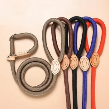 Braided Rope Slip Dog Leash 1