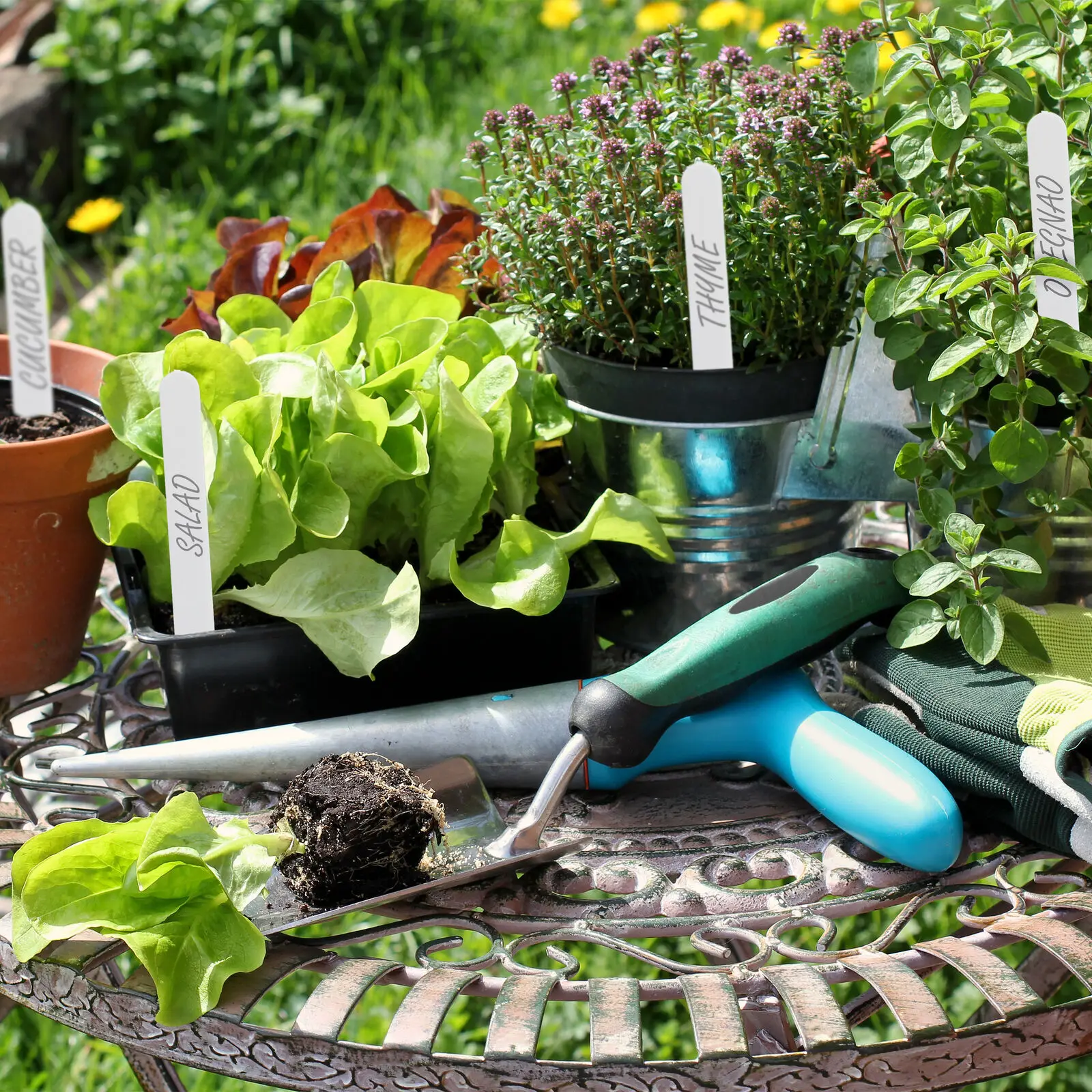 

100Pcs Plant Label Markers Waterproof PVC Garden Plants Classification Sorting Sign Tags Plant Nursery Markers Label 12.5x1.5cm