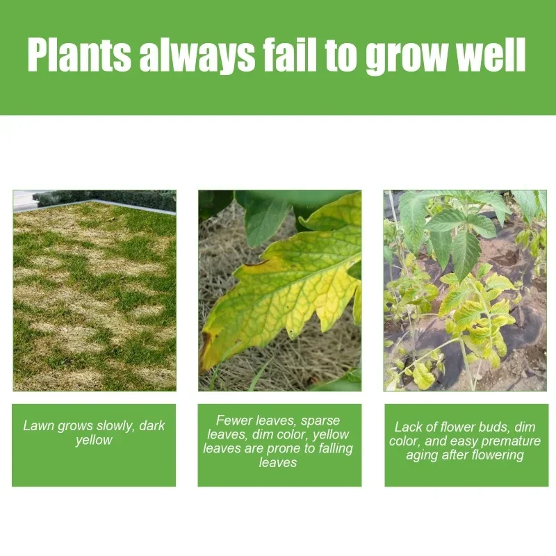 Plant Nutrient Plant Fertilizer Flower Potted Lawn Green Leaf Rooting Growth Nutrient