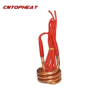 Chauffe-eau à immersion en spirale, 220V, 2500W, SubSN, 152, fil de 1.5m, précieux, E27 4