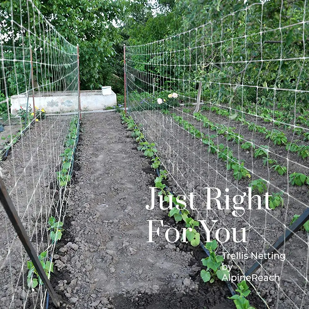 

Plant Trellis Netting Heavy-duty Polyester Plant Support Vine Climbing Hydroponics Garden Plant Climbing Net