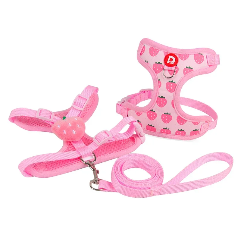 Fruit Print Pet Harness & Leash Set