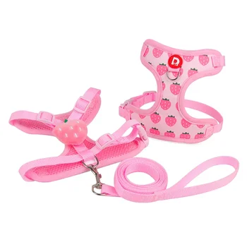 Fruit Print Pet Harness & Leash Set