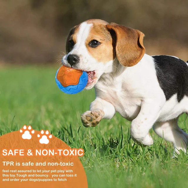Rubber Dog Toys for Dog Chewing Bite Resistant Squeaky Training Playing Toy Interactive Dog Toys for Large Dogs Teeth Cleaning 4
