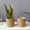 Plant Basket Liners Woven Rattan Plant Pot Containers Coco Fiber Liner Plant Vase Home Garden Decoration 2