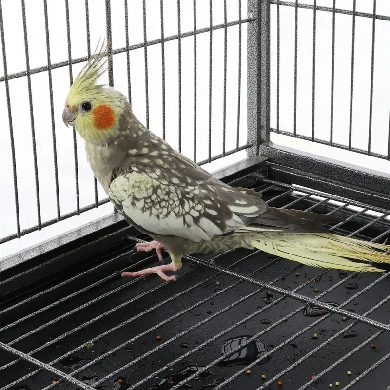 Metal 52" Large Rolling Bird Cage with 3 Perches and 4 Feeders, 6