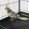 Metal 52" Large Rolling Bird Cage with 3 Perches and 4 Feeders, 6