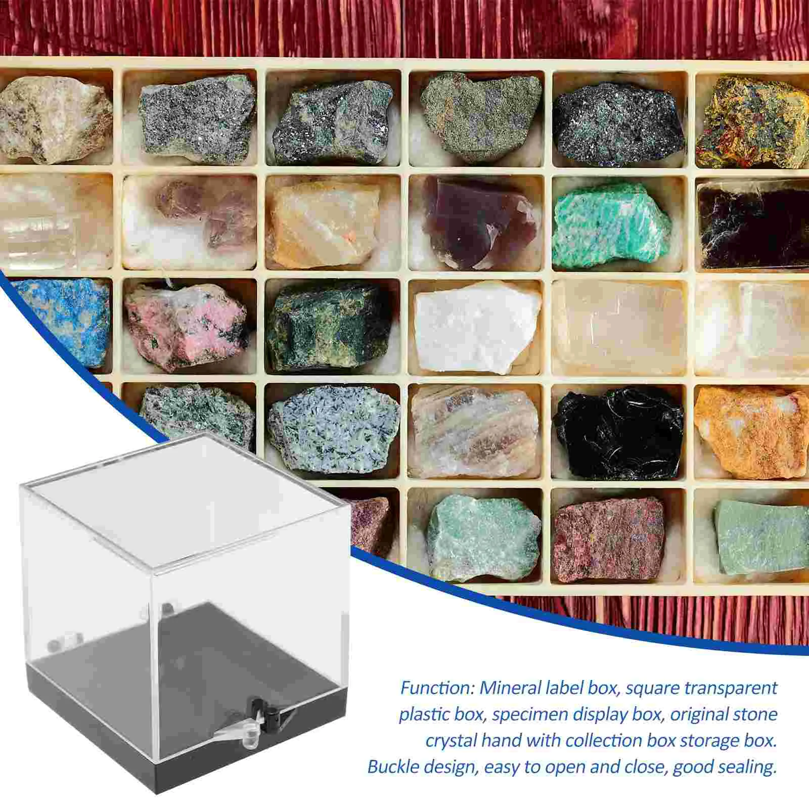 Plastic Collection Display Box, Stone Collection Storage Box