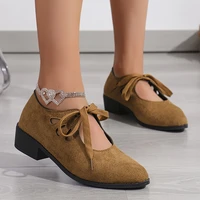 Lucyever Vintage Lace Up Thick Heels Pumps Women Shoes 2025 Spring Pointed Toe Mary Jane Shoes Woman Plus Size Faux Suede Pumps 1