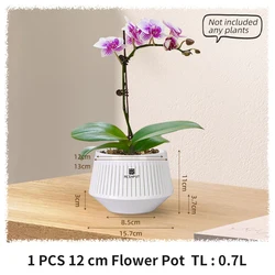 Stylish Meshpot with Enhanced Drainage for Indoor and Outdoor Decorative Plants (WHITE)