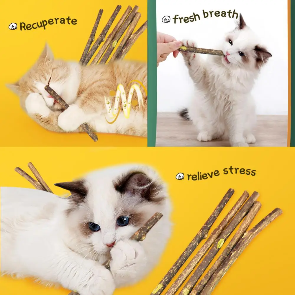 indestructible stuffed dog toys Pet Products Catnip Molar Sticks Cleans Teeth To Tease The Cat Stick To Relieve Boredom From The Self-healing Cat Toys Cat Snack toy dogs for sale