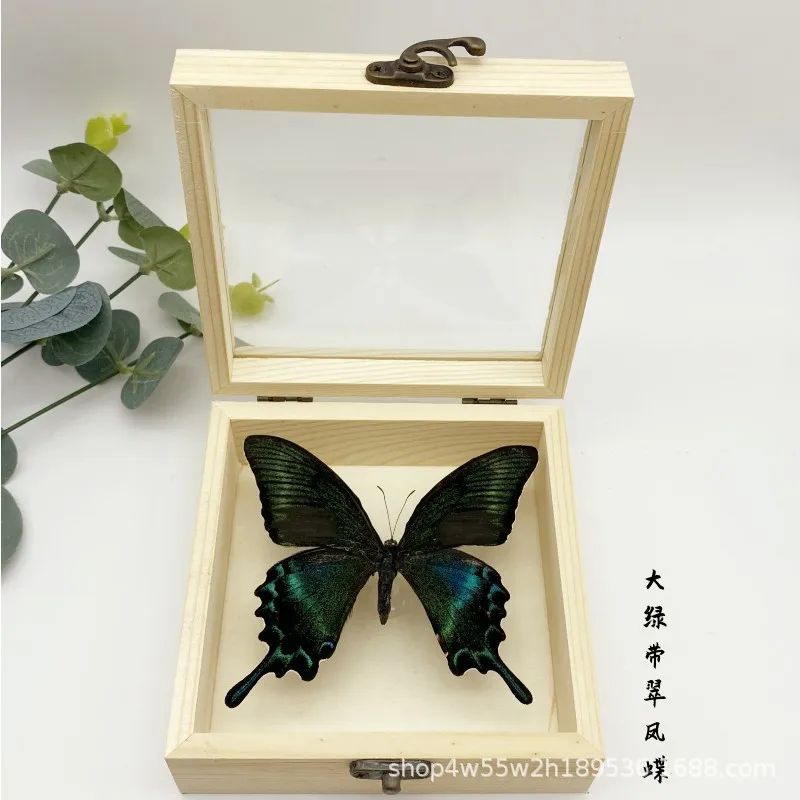 Real Butterfly Specimen,Frame,Butterfly Display Box,Set Up Stage for Children's Education,Popularization of Science,BirthdayGift 4