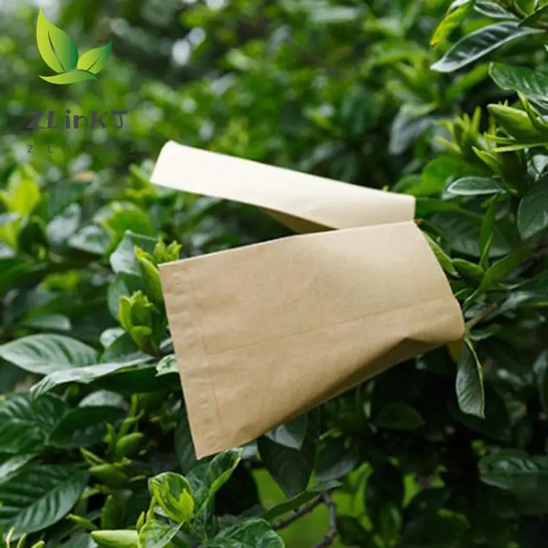 100Pcs Kraft Paper Seed Protective Envelope Storage Bags Mini Envelopes Packets Garden Home