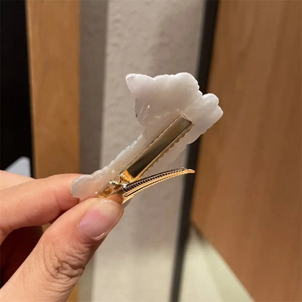 Acrylic Multicolor Hair Clip Y2K Duckbilled Hair Accessories