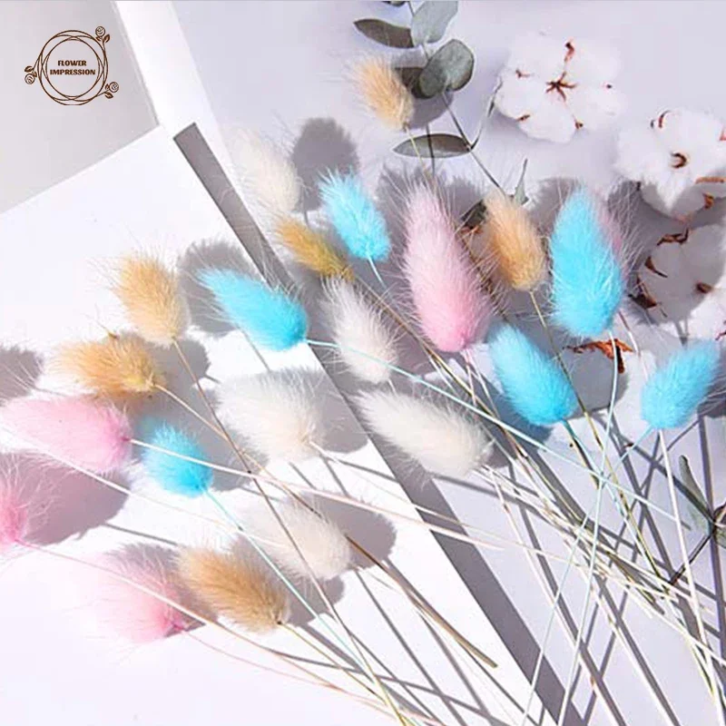 Rouge Gris - Bouquet De Fleurs Séchées En Forme De Queue De