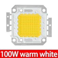 Dual White LED Light Chip for DIY Floodlight Spotlight Bulbs - COB Integrated, Multiple Wattage Options (LED 100W  Warm White)
