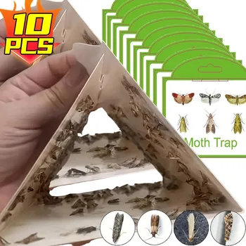 Trappole per falene per parassiti Adesivo per falena ai feromoni Killer Catcher per insetti Trappole appiccicose per mosche Giardino dispensa Cibo Flycatcher Adesivo Trappola per piastre