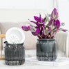 Hydroponic Plants Pot Self Watering Flowerpot Indoor Mini Succulent Planter Tabletop Vase Self-watering Home Office Bonsai Decor 1