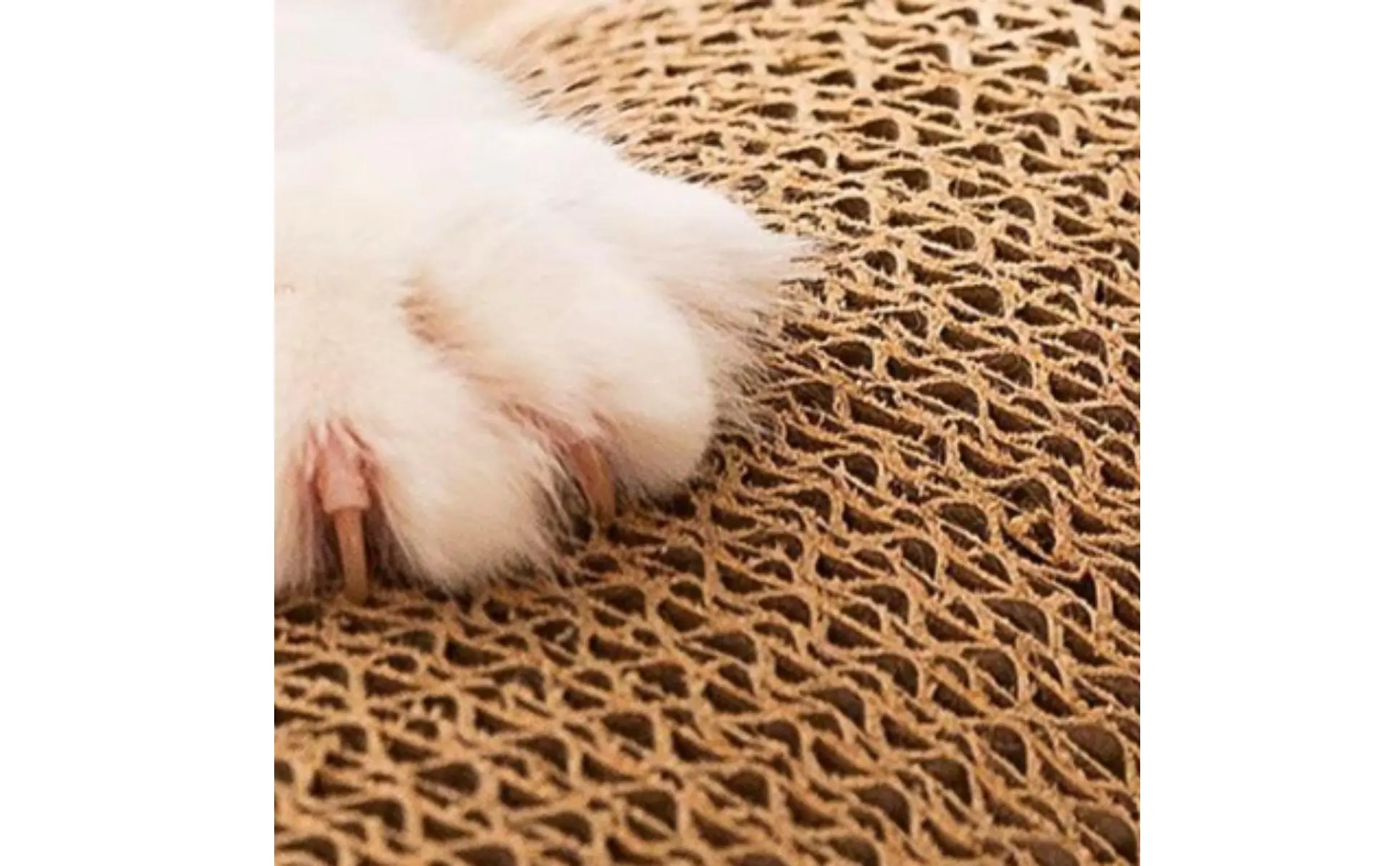 Cat Scratcher House Includes Scratching Surfaces Cat Scratcher Tunnel Pet Furniture Long-Lasting Cave Design for Kittens