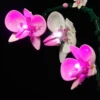Vonado LED Light Kit for 10311 Orchid Building Blocks Set (NOT Include the Model) Bricks Toys For Children 3