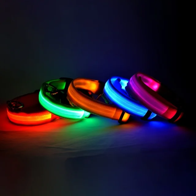 LED Luminous Dog Leash 6