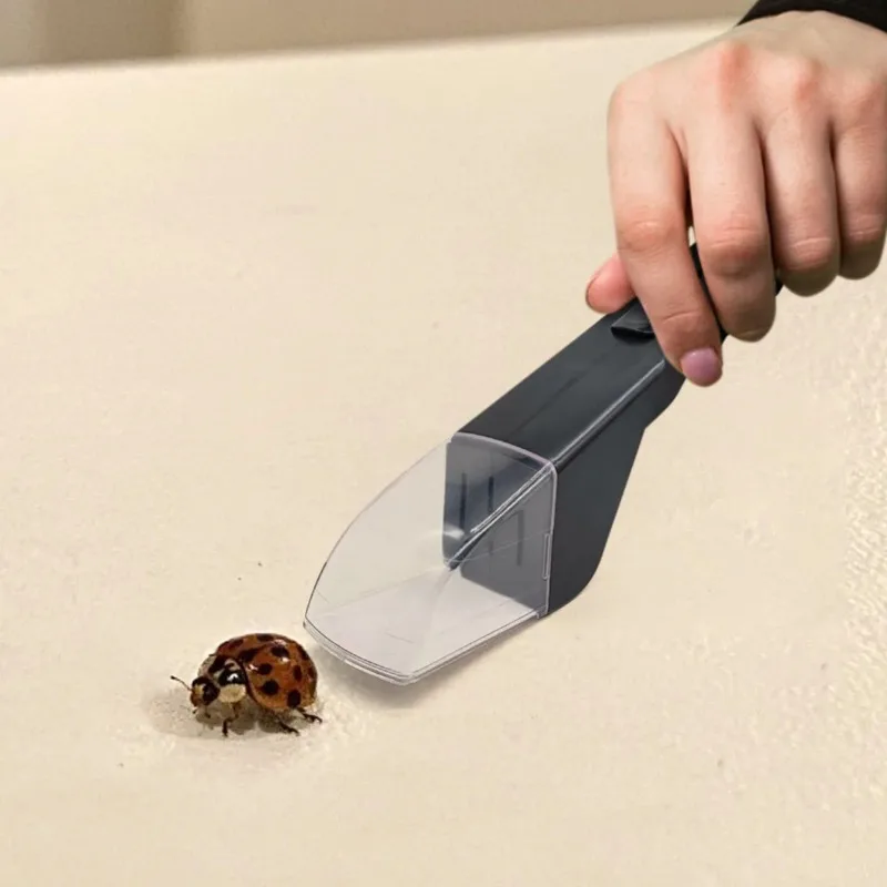 Cattura-insetti portatile per una cattura efficiente di ragni, api e altri insetti a casa - immagine 4