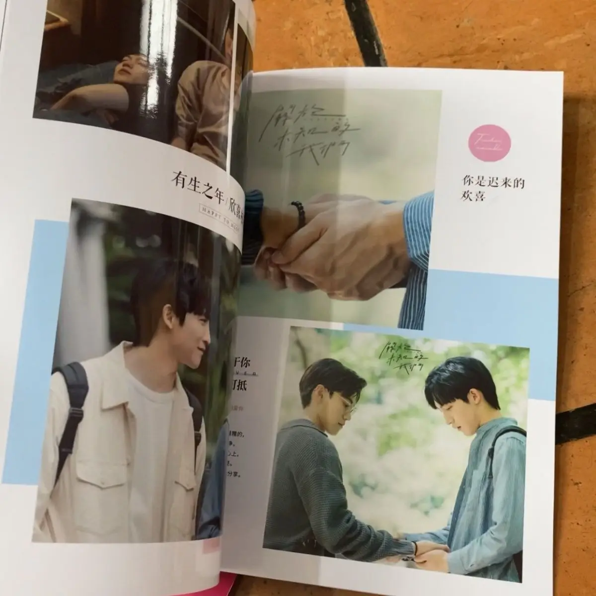 Not Official Book)Chinese Drama From The Unknown The Series