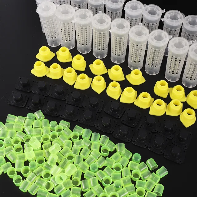 1 Kit Queen Méh Ketrec Foglyok Doboz Mézelő Migrációs Eszköz Kerti Méhészet Méhész Tenyésztő Apikultúra Kellékek - Image 6