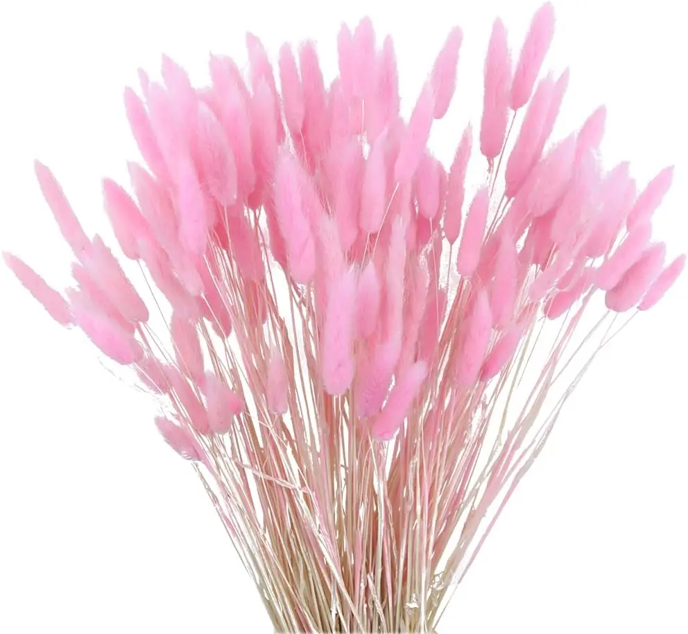 

Высушенные цветы для хвоста кролика, 120 шт.