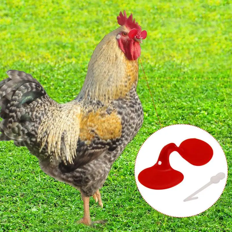 Chicken Glasses 60pcs Hen Rooster Anti-Pecking Eyes Glasses with Bolt Durable Chicken Equipment Supplies Poultry chicken anti pecking glasses
