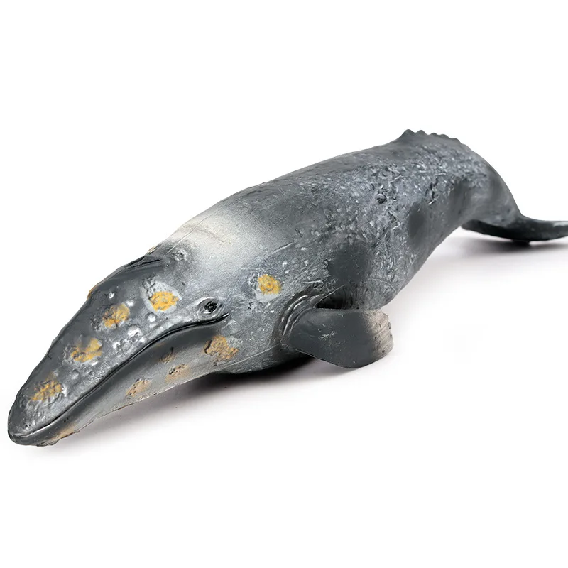 

Children's cognition, solid simulation, marine animal model, toy, large grey whale, shark, benthos, handmade model