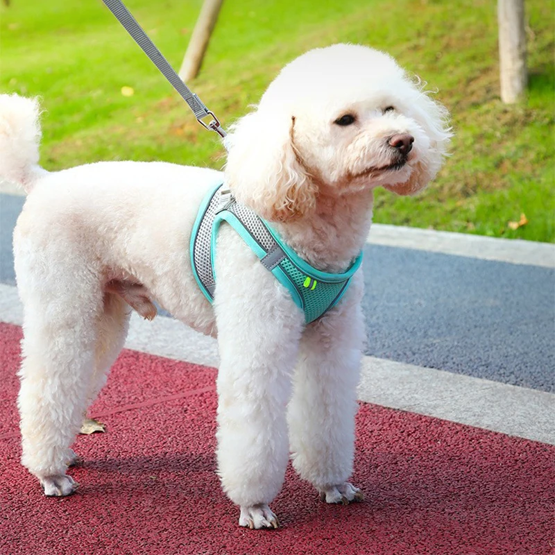 Adjustable Reflective Dog Harness with Leash