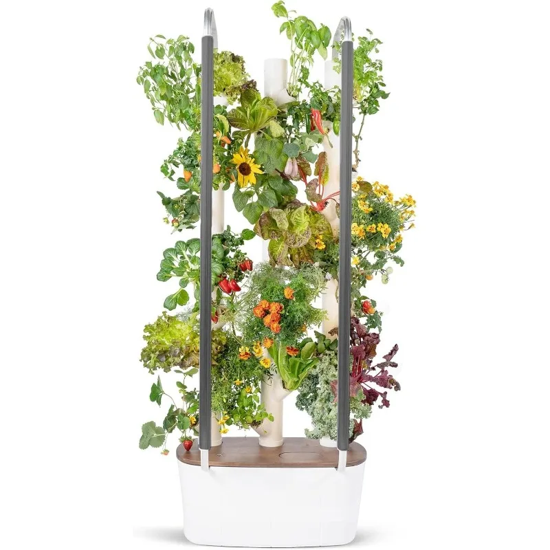 Gardyn 3.0 Hydroponics Growing System Kit,Vertical Indoor Garden Planter Herb Garden,30 Non-GMO Indoor Plants,Herbs,Vegetables